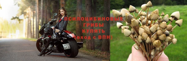 ГАЛЛЮЦИНОГЕННЫЕ ГРИБЫ Володарск