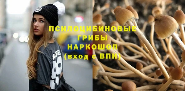 ГАЛЛЮЦИНОГЕННЫЕ ГРИБЫ Володарск