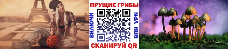 Купить где  Новоуральск  Галлюциногенные грибы Psilocybe 